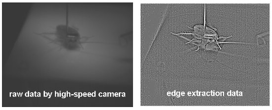 Image results from information extraction processing of high speed video images.